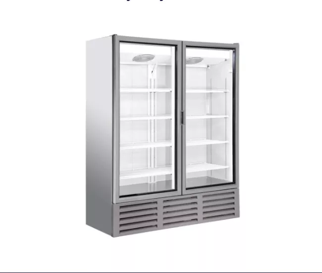 ÇİFT ÇARPMA KAPILI MARKET TİPİ ŞİŞE SOĞUTUCU
