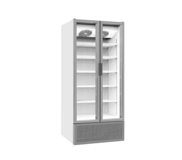 S880 SC TD SLIM KANOPİSİZ ÇİFT ÇARPMA KAPILI ŞİŞE SOĞUTUCU
